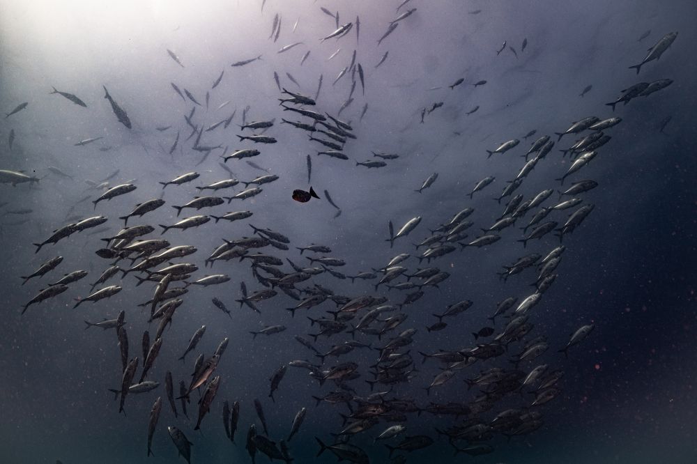 Photograph by Дмитрий Плотников