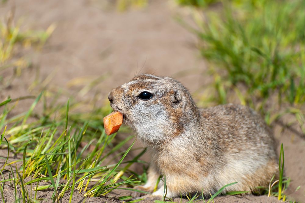 Photograph by Вадим Басов