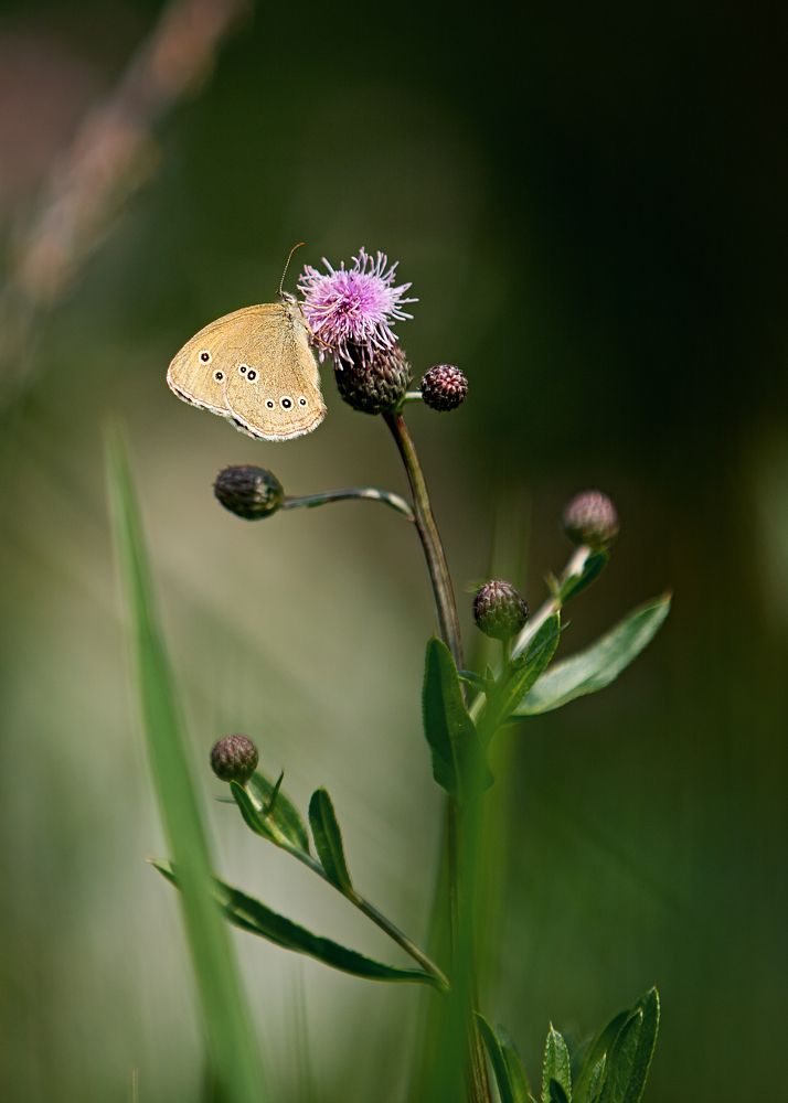 Photograph by Орлова Яна