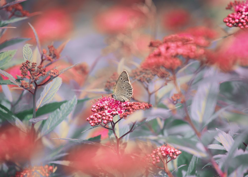 Photograph by Орлова Яна