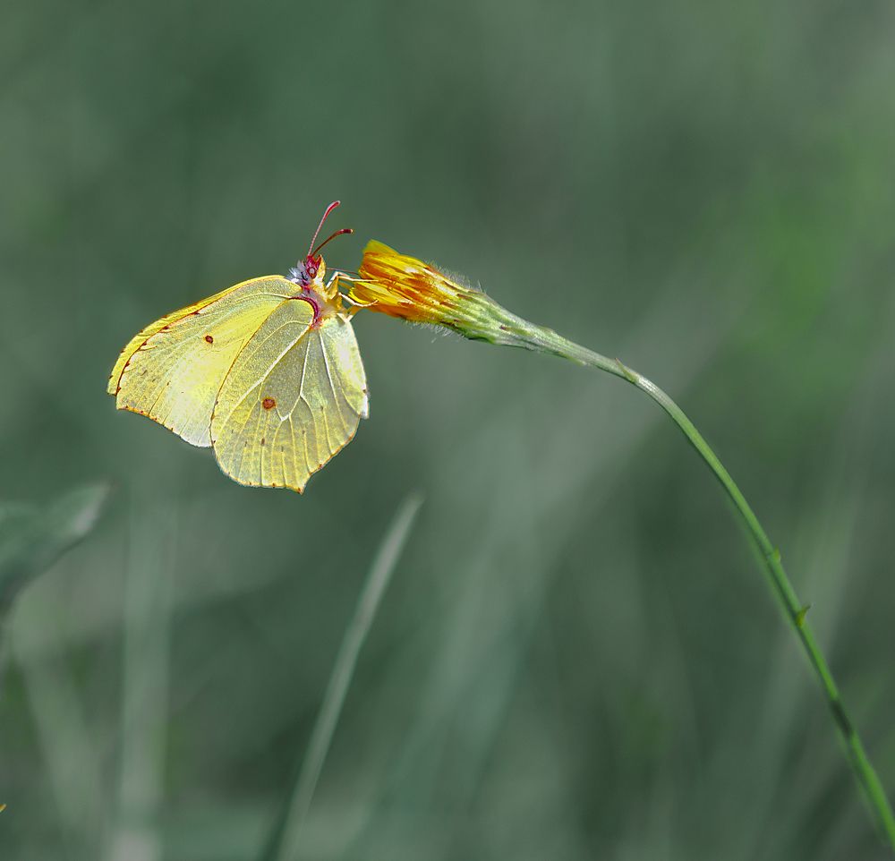 Photograph by Орлова Яна