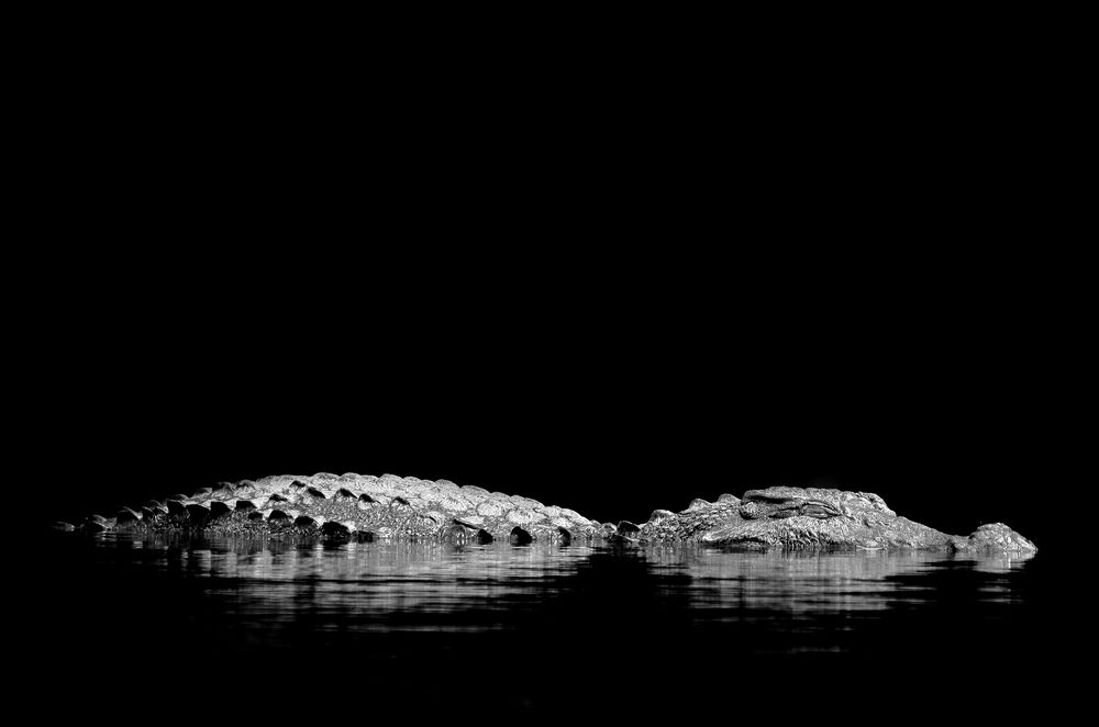 Фотография автора Hari Saya