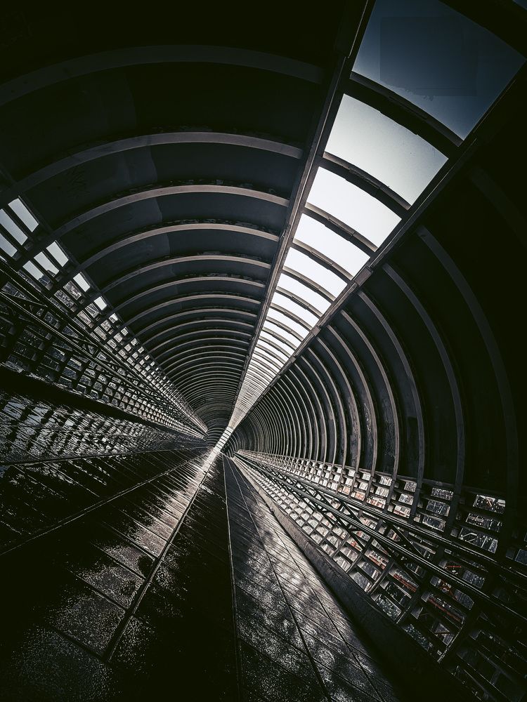 Photograph by Алена