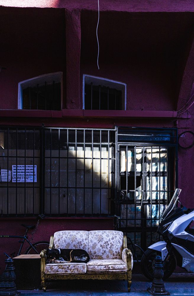 Фотография автора Fernando orozco fajuri