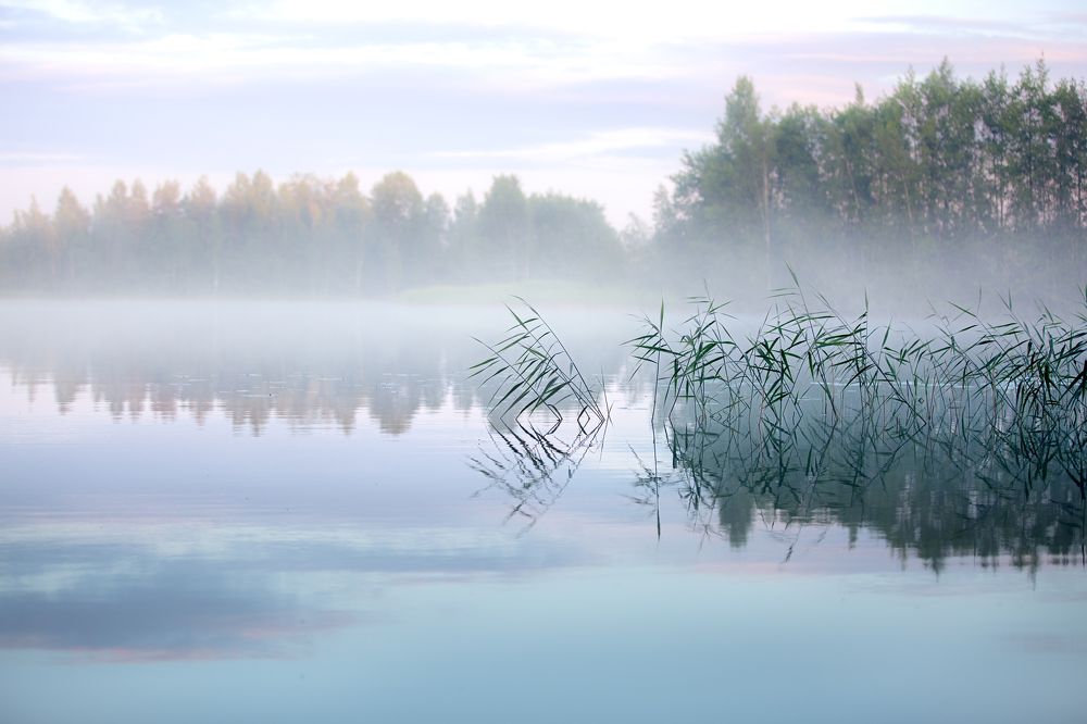 Photograph by Орлова Яна