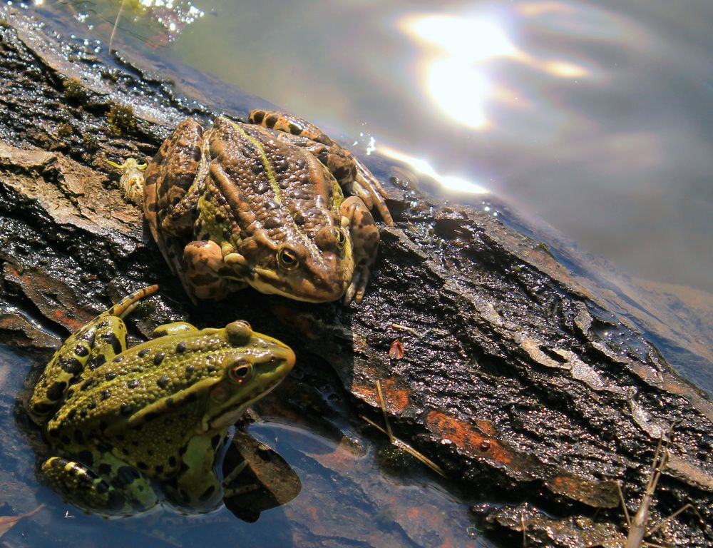 Photograph by Анна Евдокименко