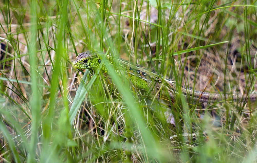 Photograph by Анна Евдокименко