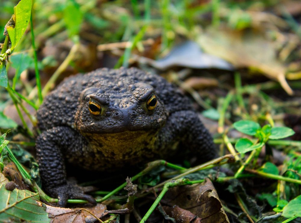 Photograph by Анна Евдокименко