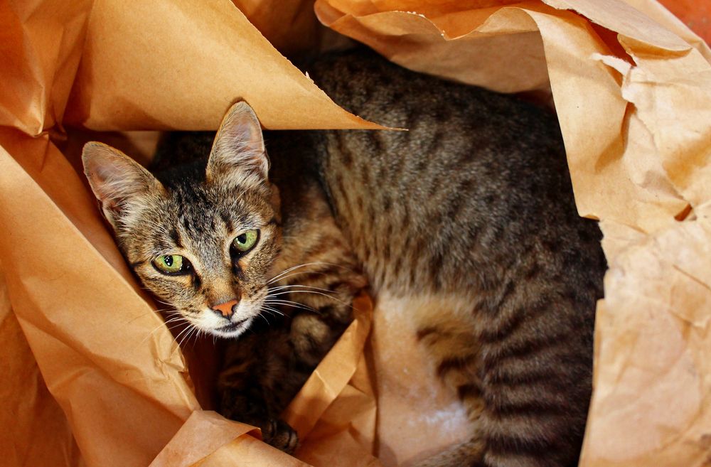 Photograph by Анна Евдокименко