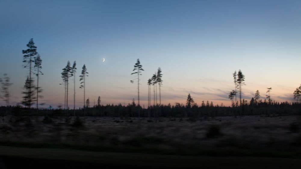 Photograph by Орлова Яна