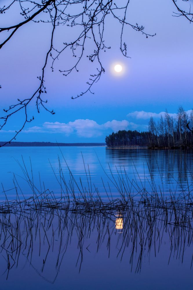 Photograph by Орлова Яна