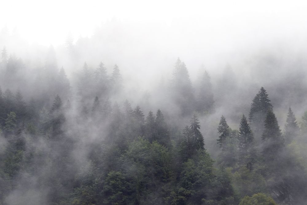 Фотография автора Mojtaba Chenari