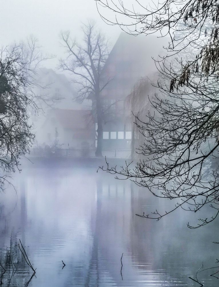 Фотография автора Mojtaba Chenari