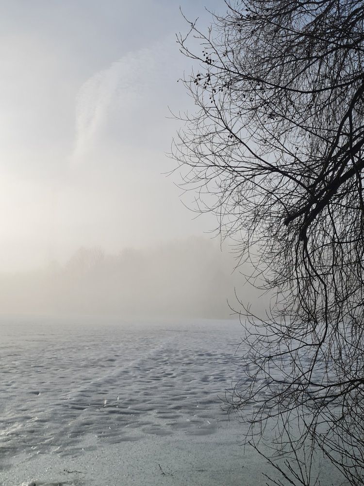 Photograph by Elena Lukashina