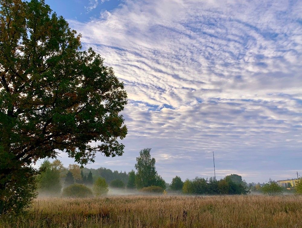 Photograph by Elena Lukashina