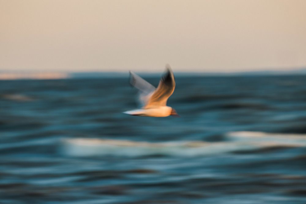 Фотография автора Михаил Балаев