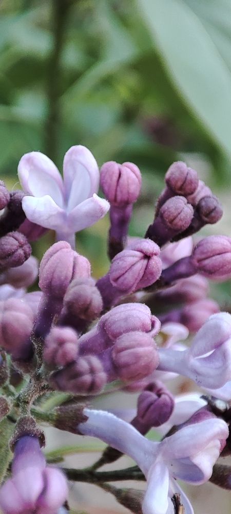 Photograph by Надежда