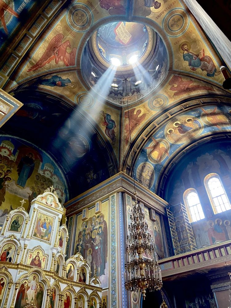 Фотография автора Джульетта Олейникова