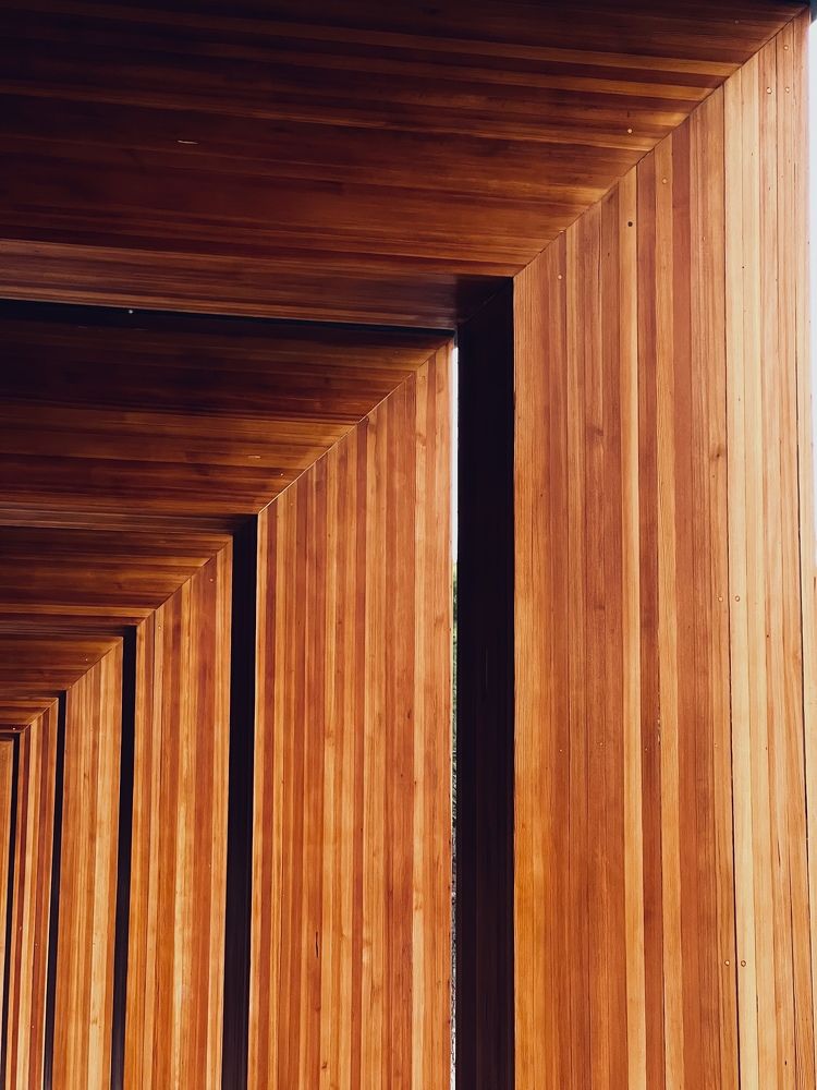 Древесные формы