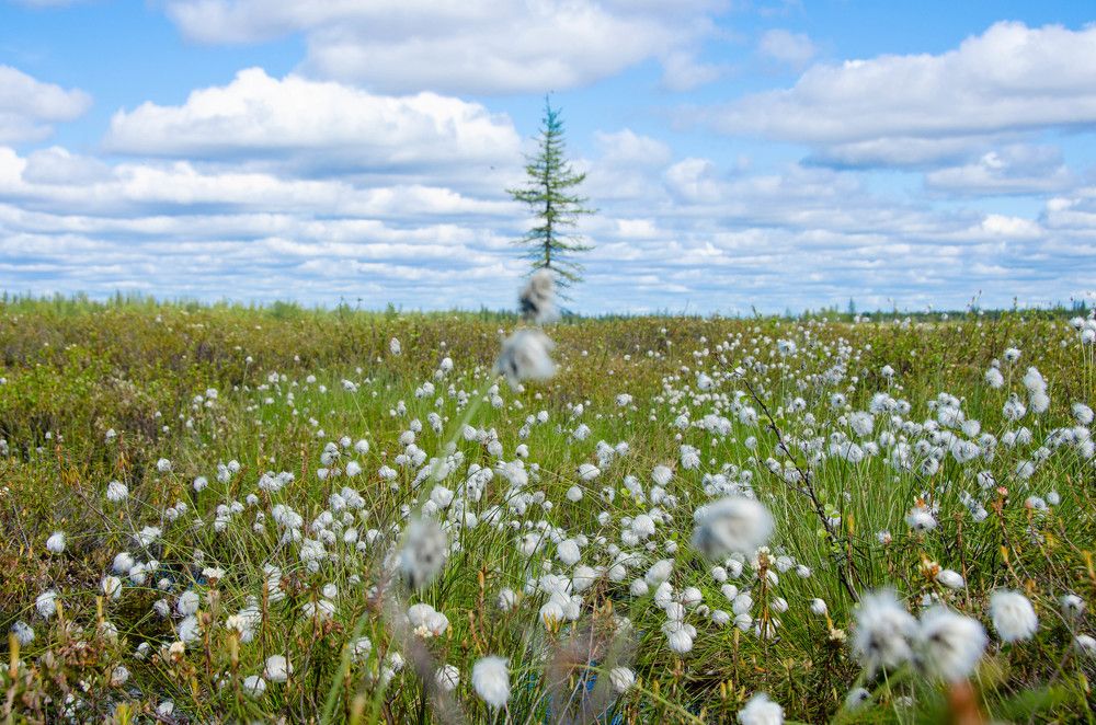 Фотография автора Мария Черница