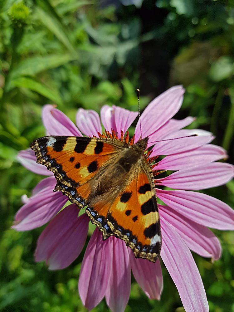 Photograph by Дмитрий