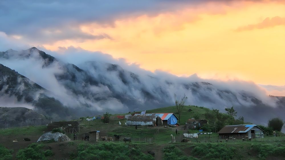 Фотография автора Maghsoud Moradi