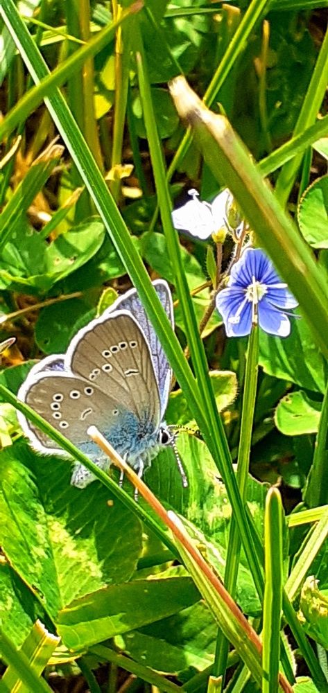 Photograph by Евгения Ульянова