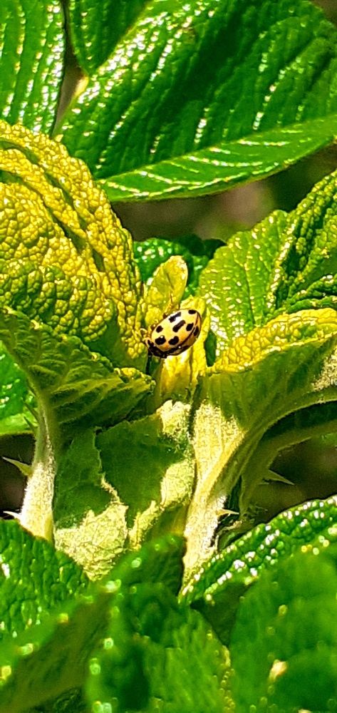 Photograph by Евгения Ульянова