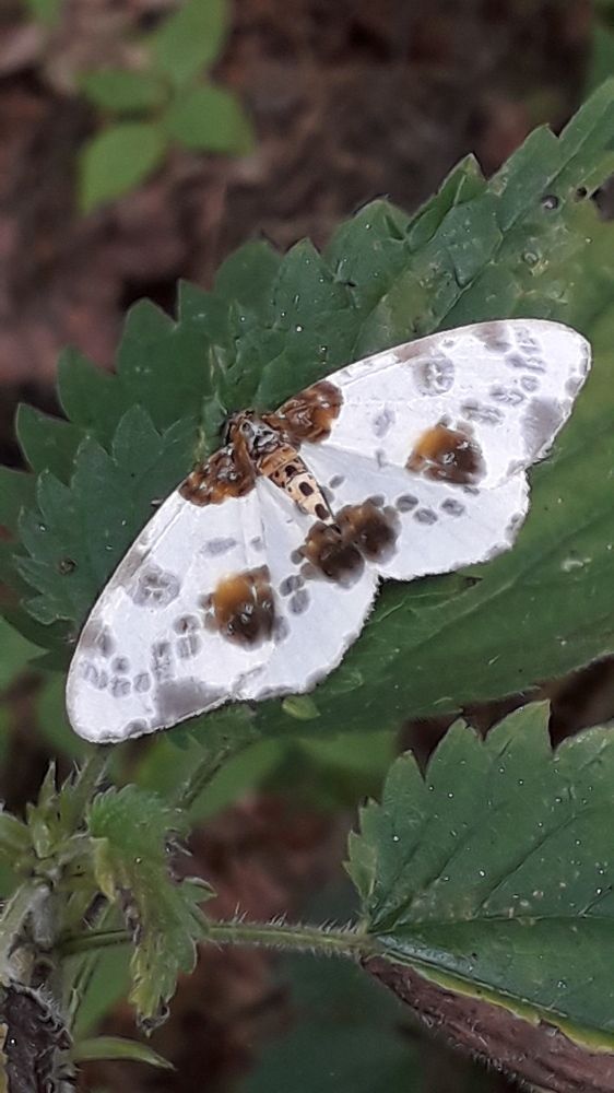 Photograph by Татьяна Солтан