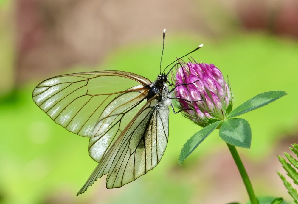 Photograph by Максим Григорьев