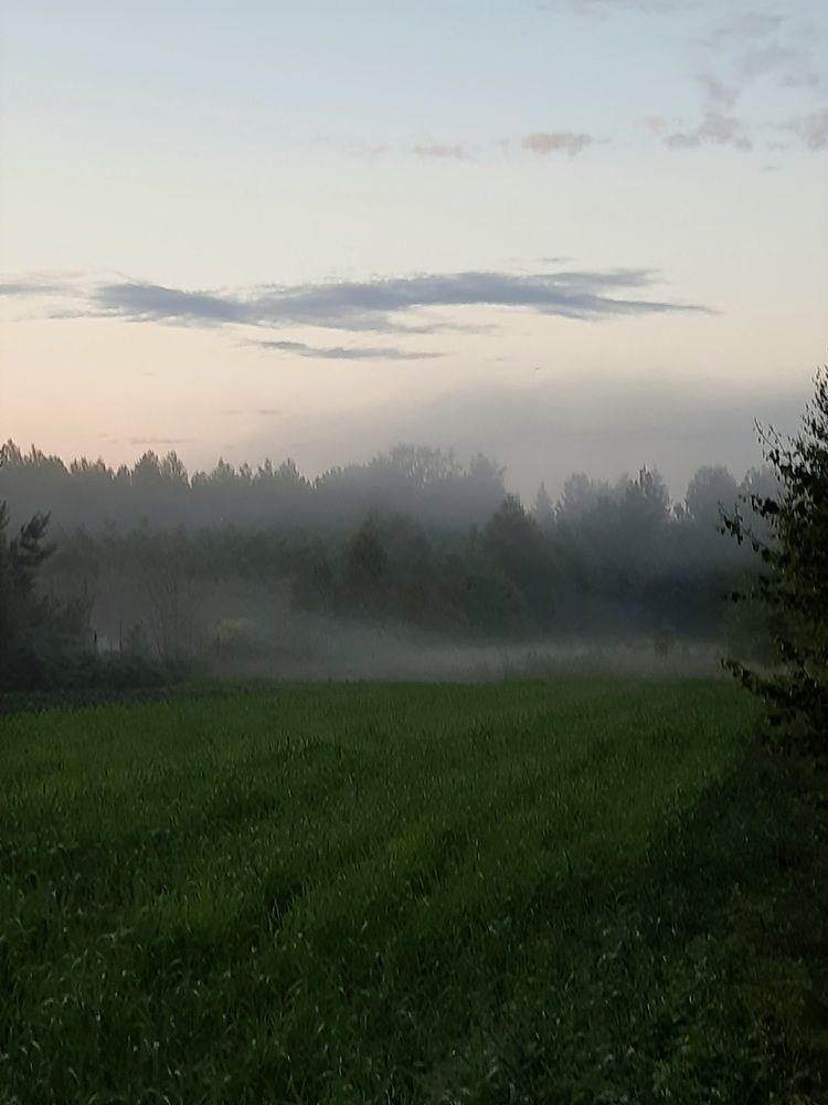 Photograph by Людмила Щепилова