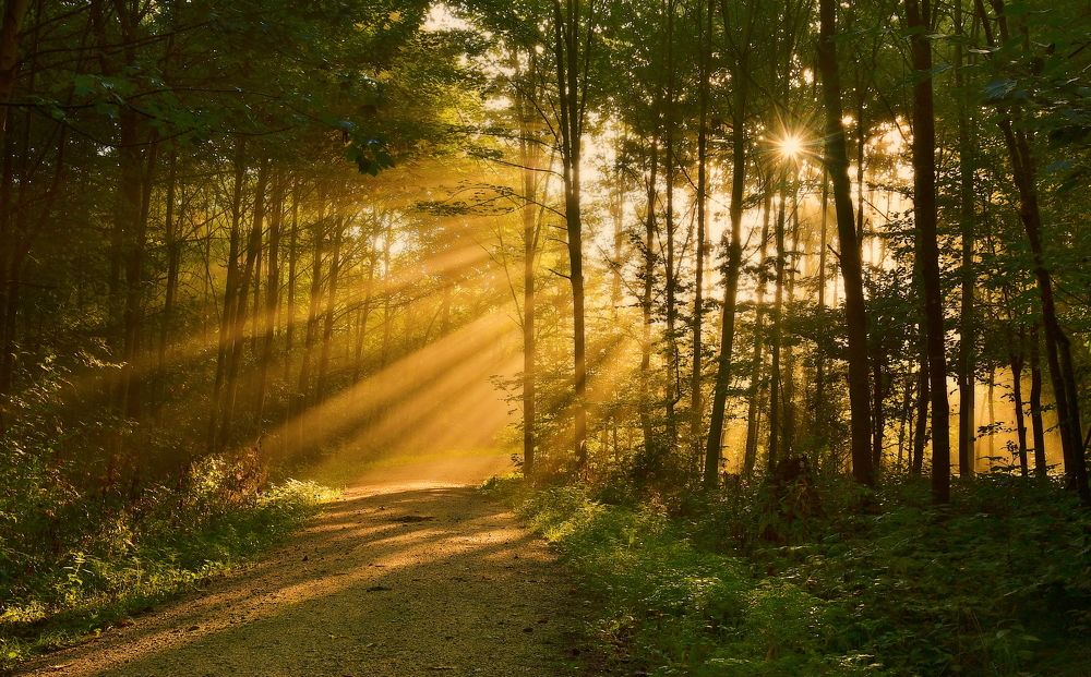 Photograph by Elena Wymann