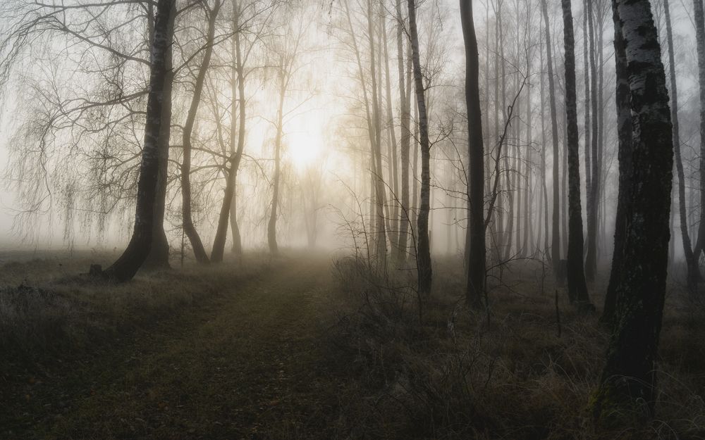 Photograph by Сергей Дишук