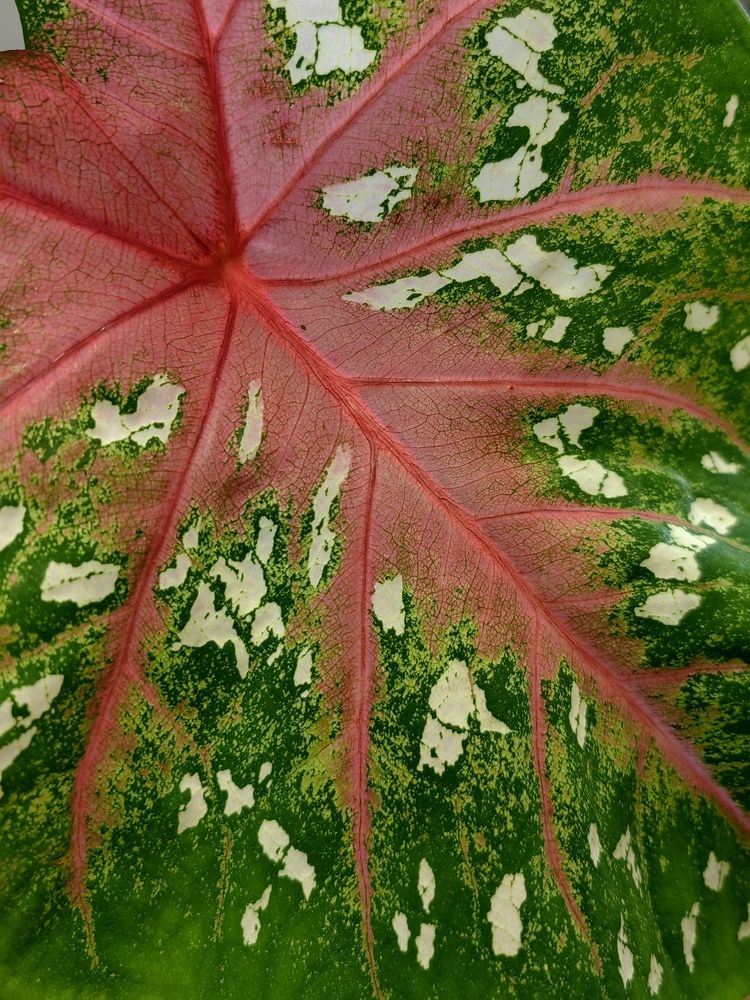 Photograph by Полина Александровна