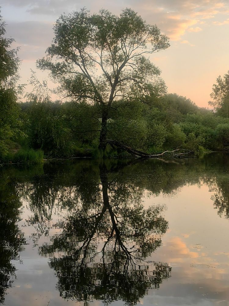 Photograph by Полина Александровна