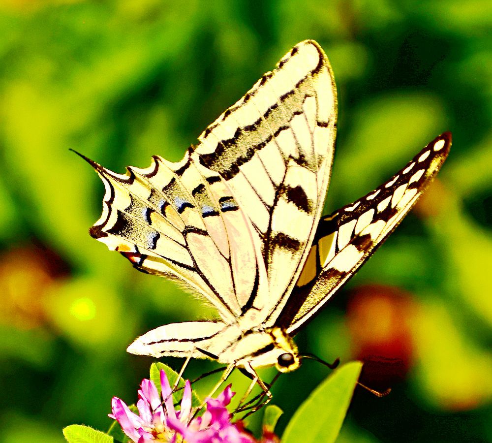 Photograph by Александр Шувалов
