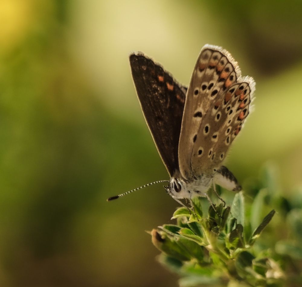Photograph by Владимир Орлов
