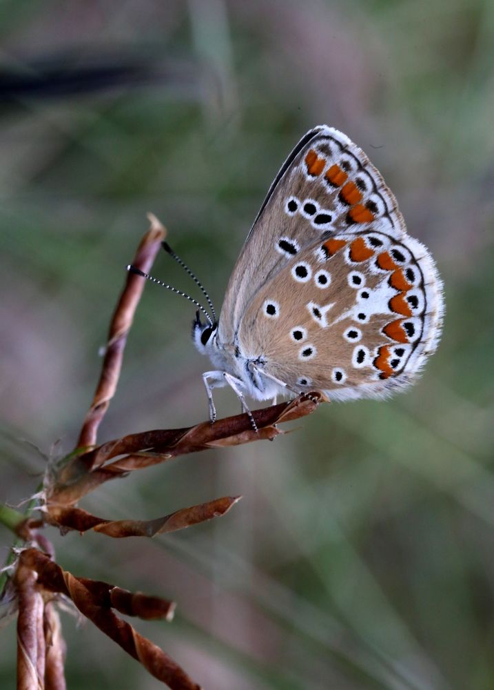 Photograph by Унку Юрий