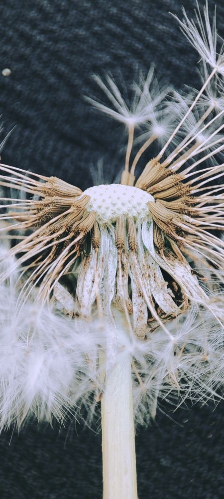 Photograph by Надежда