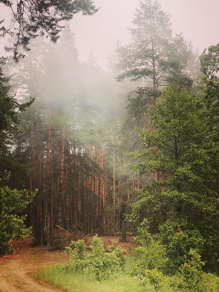 Photograph by Ирина Садовникова