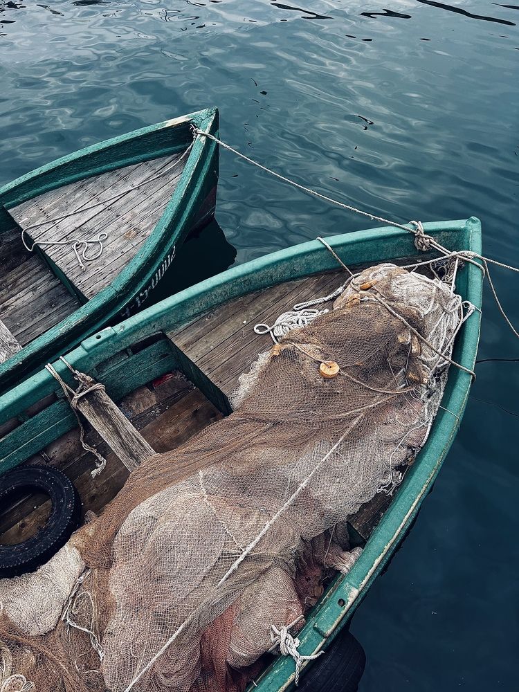 Рыбацкие забавы