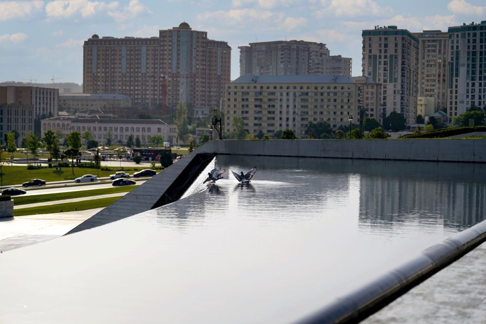 Photograph by Дашдемир Мамедов