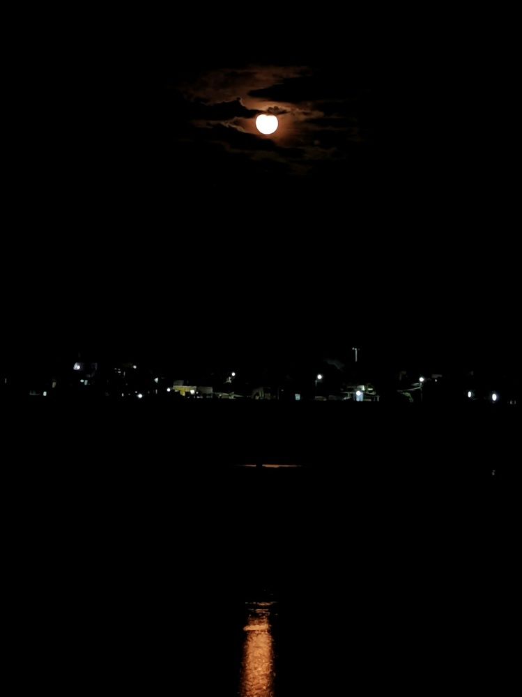 Photograph by SARAVANA MANICKAM