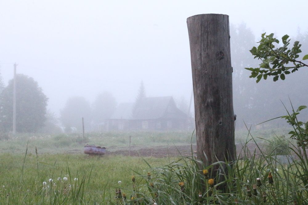 Фотография автора Егоров Максим