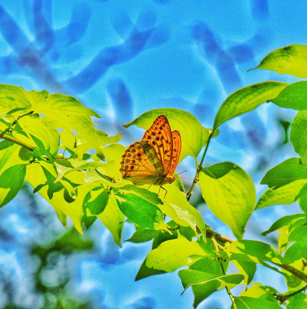 Photograph by Василиса Прекрасная