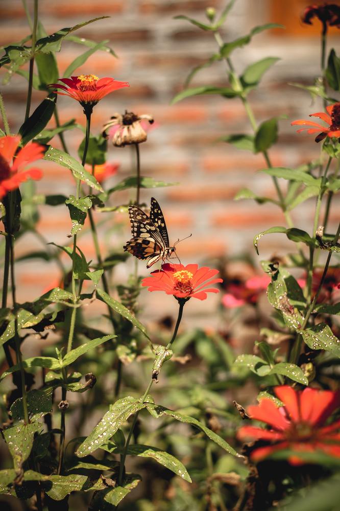 Photograph by Rut Kibas