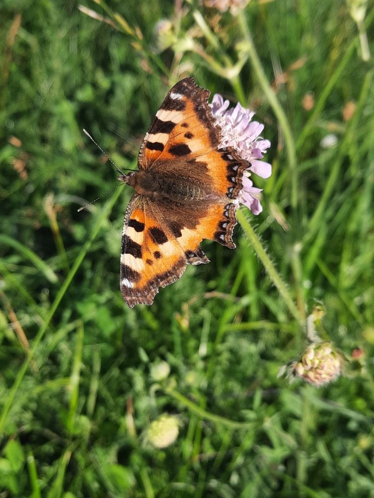 Photograph by Юлия Меркулова