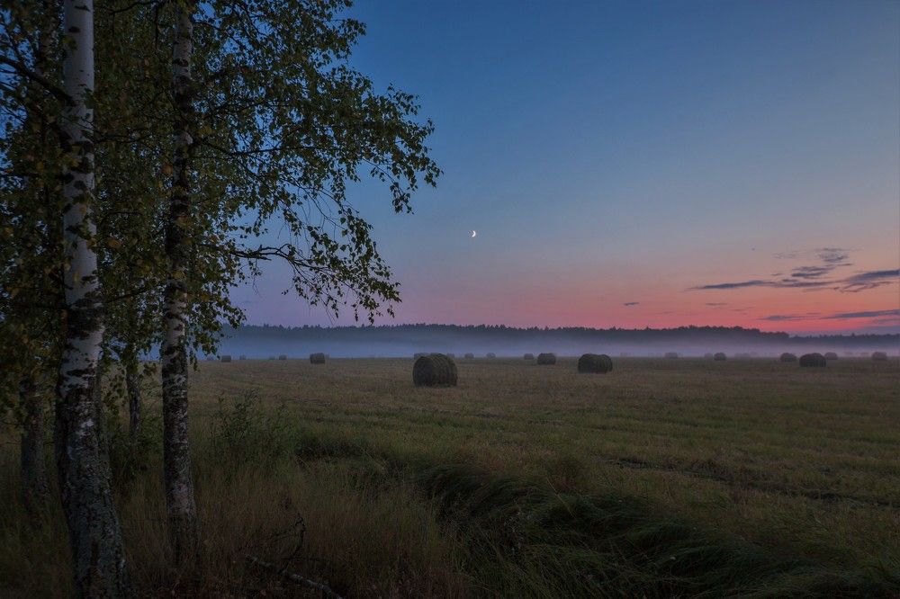 Photograph by Александр Литвинов