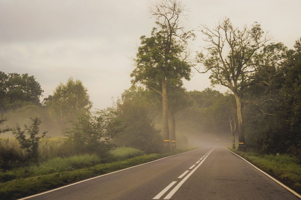 Фотография автора Альбина Хвастунова