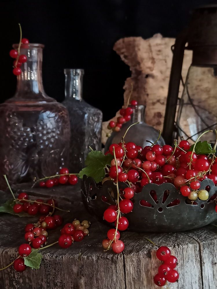 Photograph by Новикова Елена Сергеевна